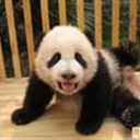 过路人 1335199