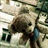 Ricky ｀ 1565201