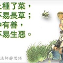 鱼蜜 1497209