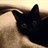 camille 129223