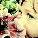sweet 1144126