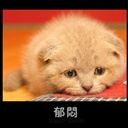 卧东堂 2005274