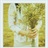 cornflower 1027306