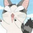 猫的青春 1017307