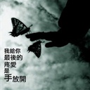 哈浩 1995316