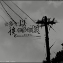 nwsdhy 1105334