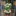 bird097 1019377