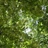 DarkGreen 1347393