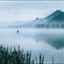 银河系梦游 911431