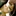 linking 1492147