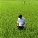 周小福 1389475