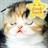 janespark 895505