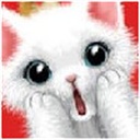 kaige 1181508