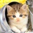 katten