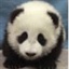 假冒影迷