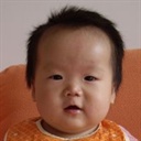 西北大灰狼 173536