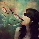 魚 2303571