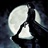 黑1夜2传3说
