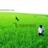 badbill 1043631