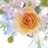 ellenrose 1503638