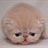 懒猫 1201650