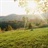 daivid 1021675