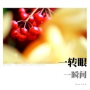 布奴奴 1903680