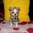 Bonny909722