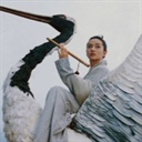 风间隼 851739
