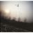alps 1489743