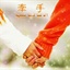 晨雨 1537749