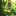 lovezone 1761756