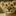 小猫花生 1323771