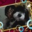 jenny 971806