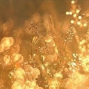 clover 1665822