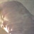 me you 1705826