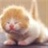 jinmy 101872