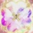 草莓2647938
