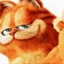 我是熊猫 1053950