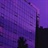 未来的梦想1603978