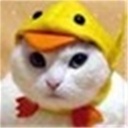 Joeyu(104198)