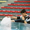 Summer 571983