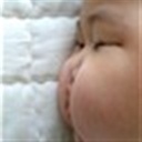 小树 102204