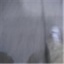和善的朋友 100236