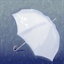 枫林听雨 1494242