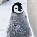 青春小家雀gang 1648030