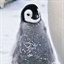 青春小家雀