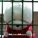 雪桉 970306