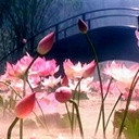健忘的大象 770319