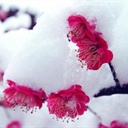 荒原里的诗 2320322